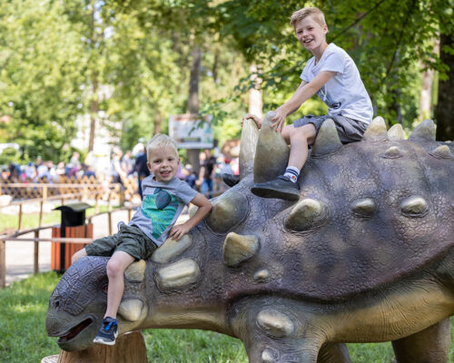 Interaction and discovery at DINOLAND