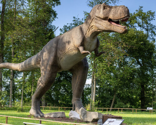 DINOLAND attraction
