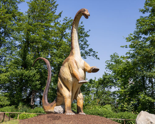 DINOLAND dinosaur experience